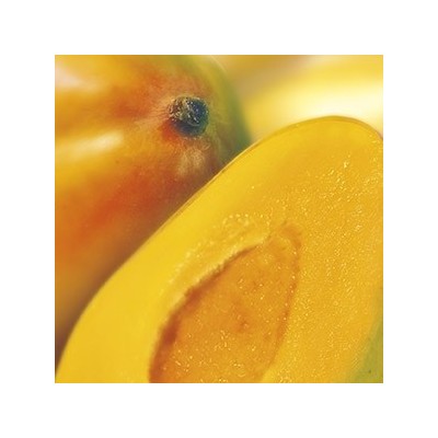 Purée de mangues 500g Ravifruit