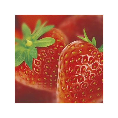 Purée de fraises 500g Ravifruit
