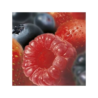 Purée de fruits rouges Ravifruit