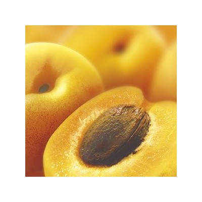 Purée d'abricots Ravifruit